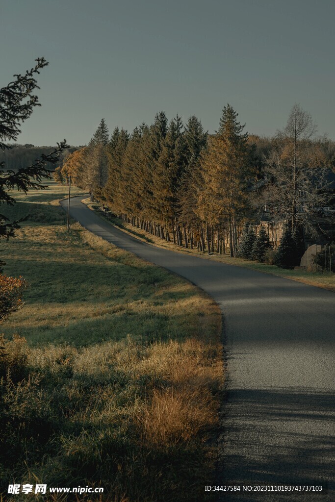 林间道路