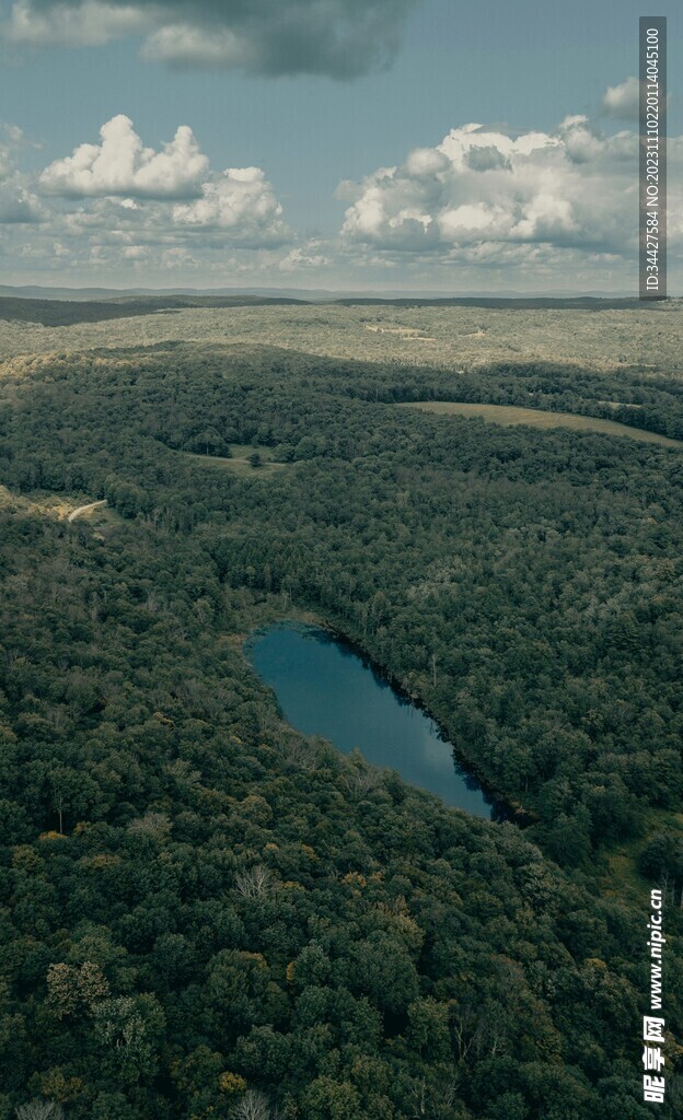 树林湖景鸟瞰图