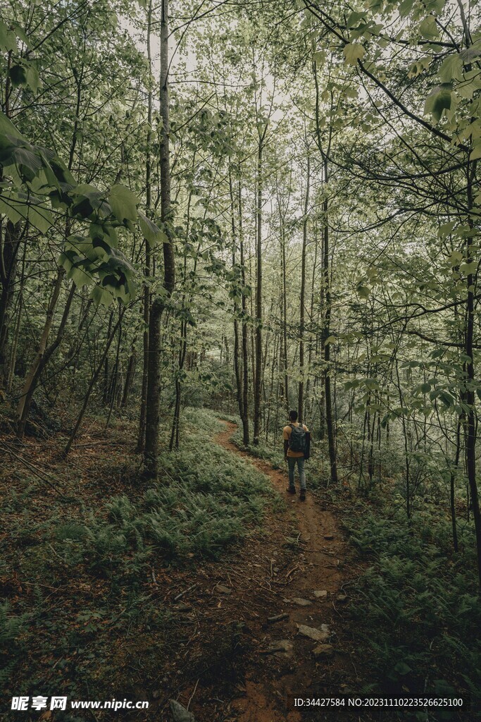 山路上的登山徙步者