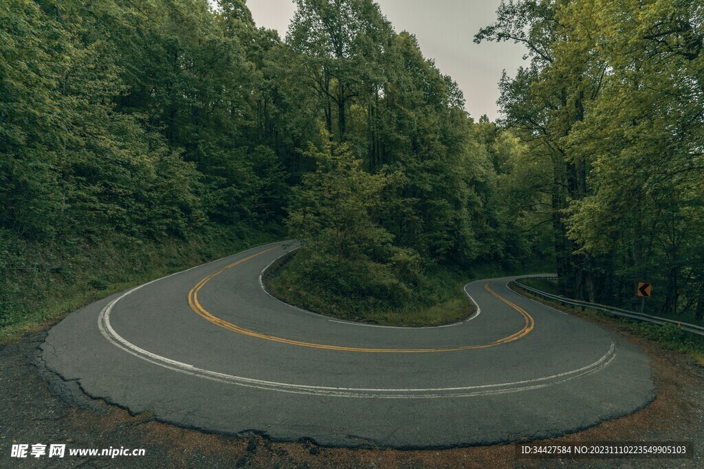 林间弯曲道路