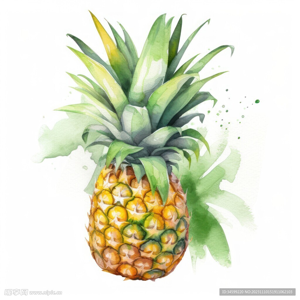 凤梨水彩画