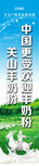吊旗