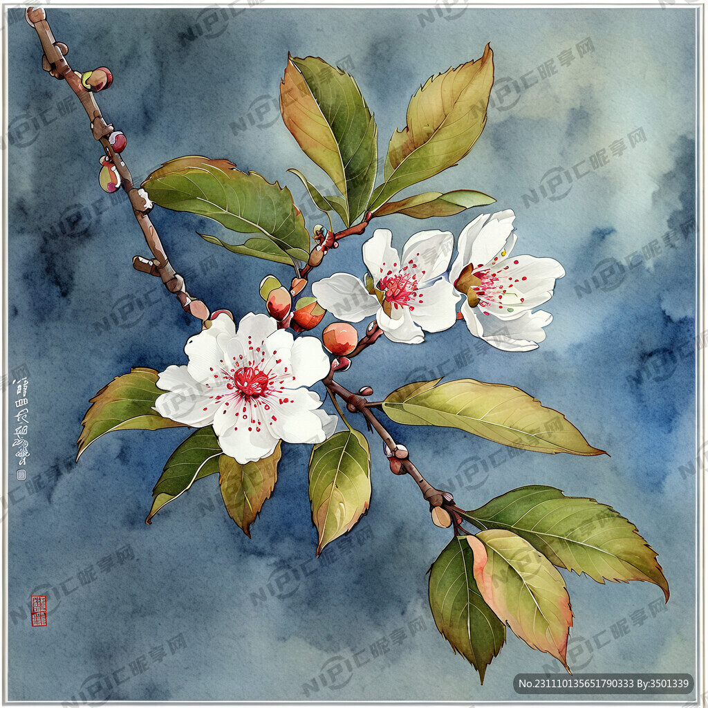 水彩画 花果 树叶 枝干 清新