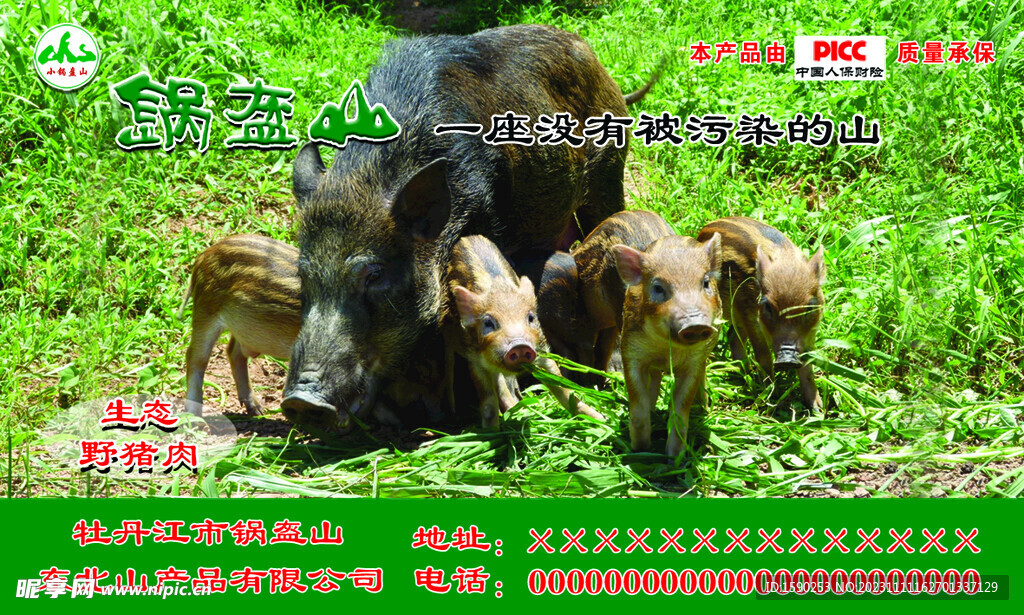 野黑猪肉海报