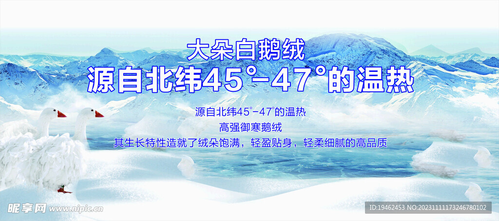 鹅羽绒