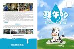 牛奶宣传单