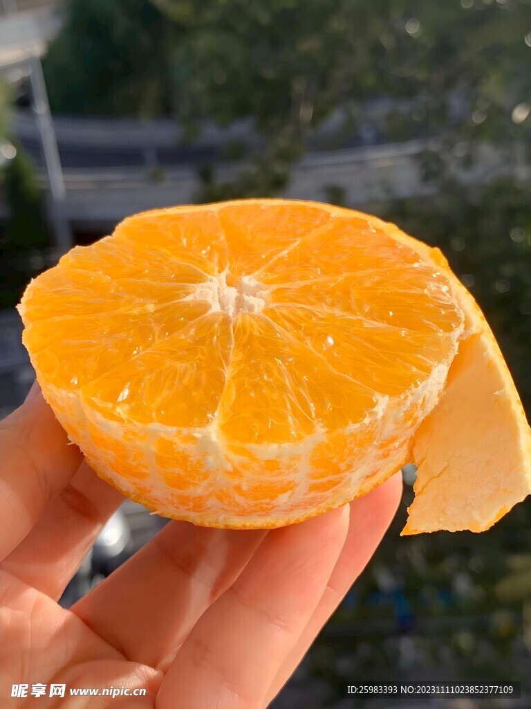 橙子