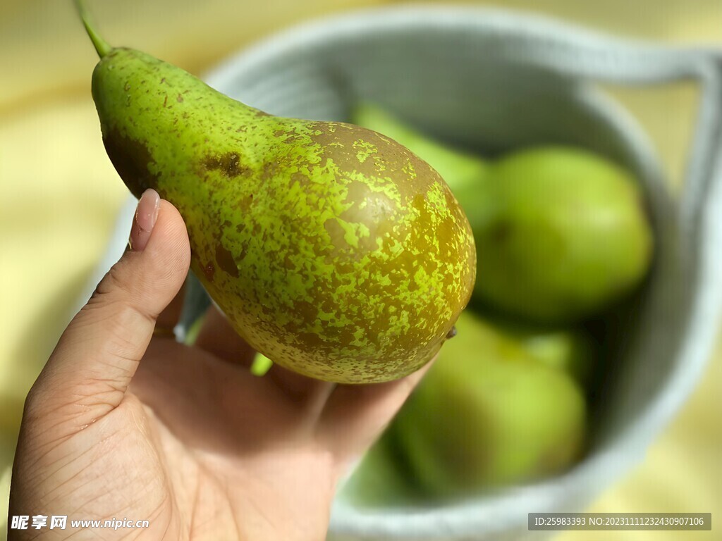 啤梨