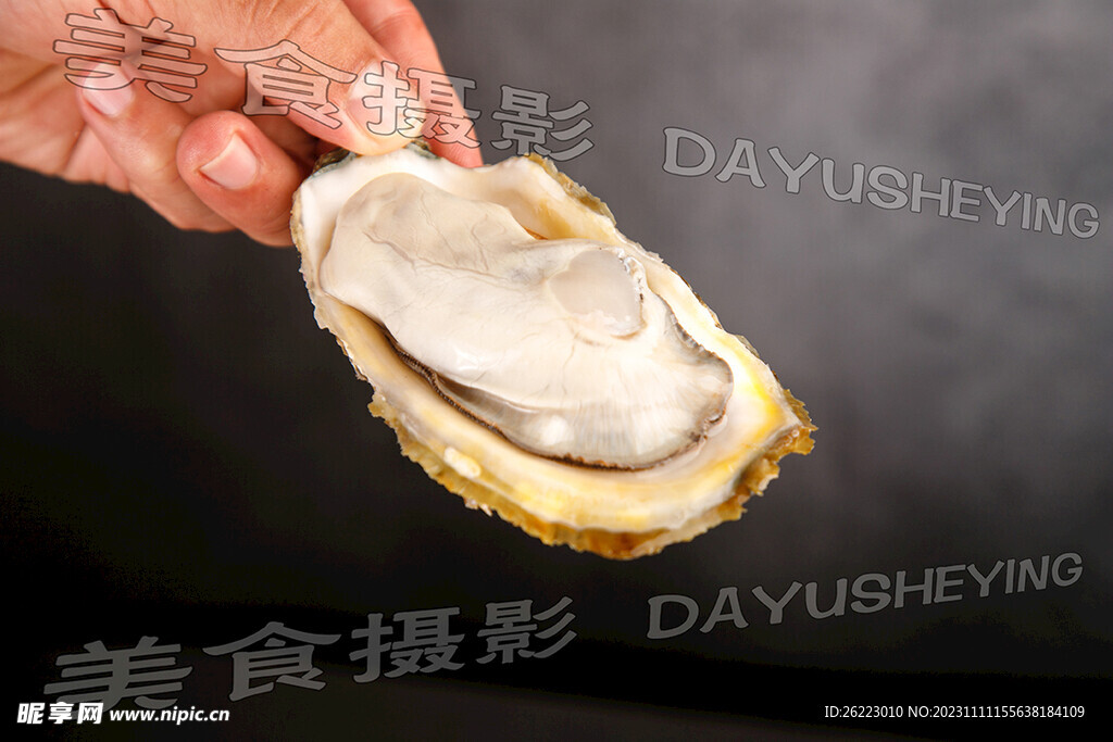 生蚝 