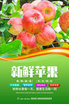 苹果