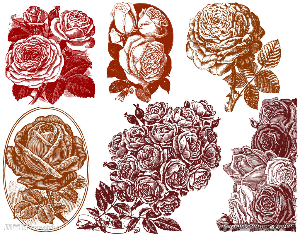 素描复古手绘玫瑰花卉透明免抠