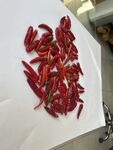 辣椒