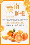 赣南脐橙