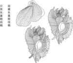 线稿