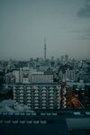 建筑楼宇