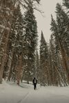 山林里的登山徙步者