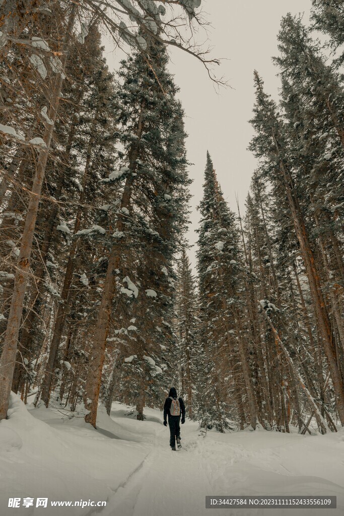 山林里的登山徙步者