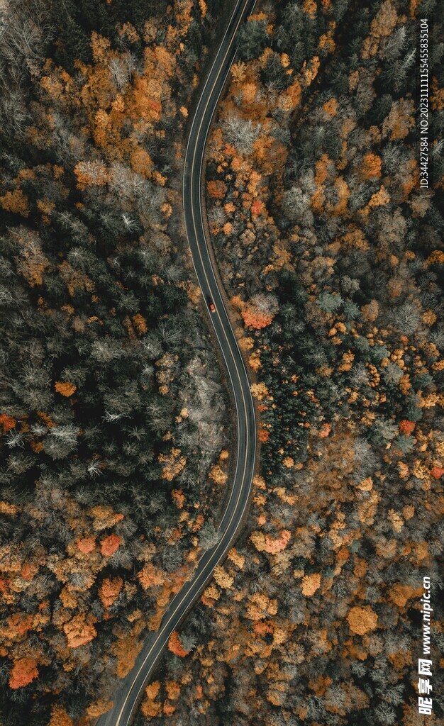 林间道路鸟瞰图