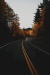 林间道路 