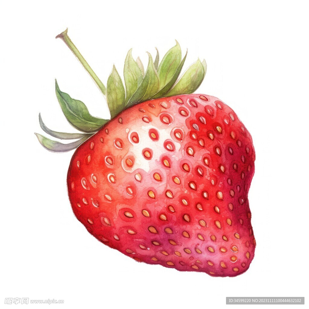 水彩草莓插画
