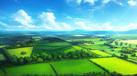 背景是航拍绿色的稻田，有蓝天，有白云，一架无人飞在天空中飞，有很多的稻田
