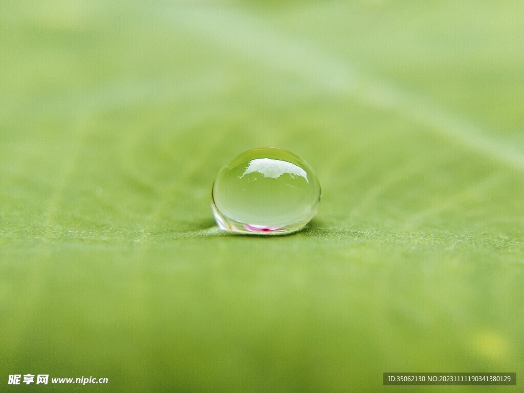 模糊露水