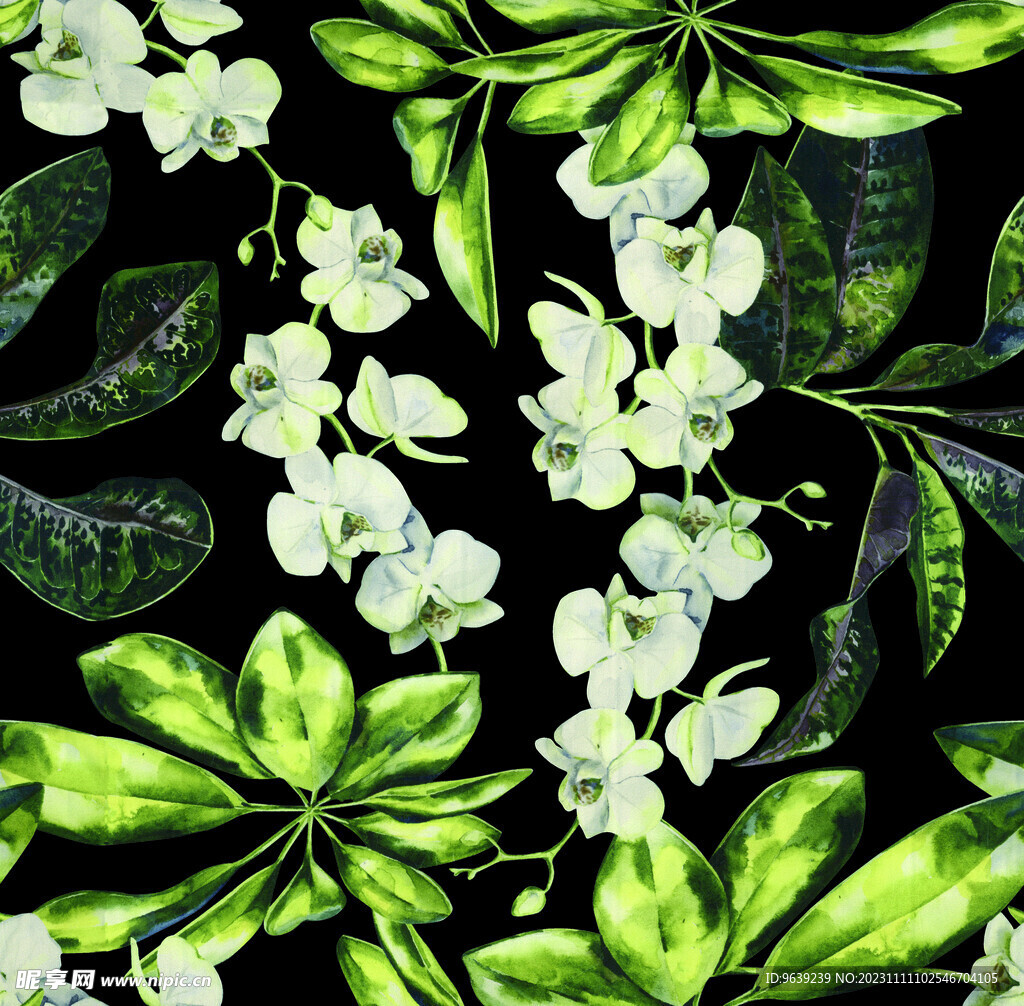 植物花