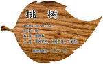桃树挂牌