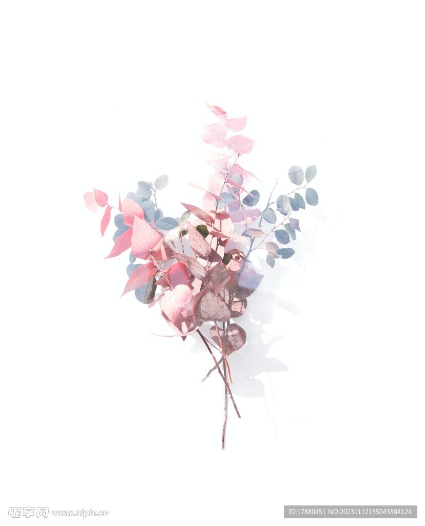 装饰花