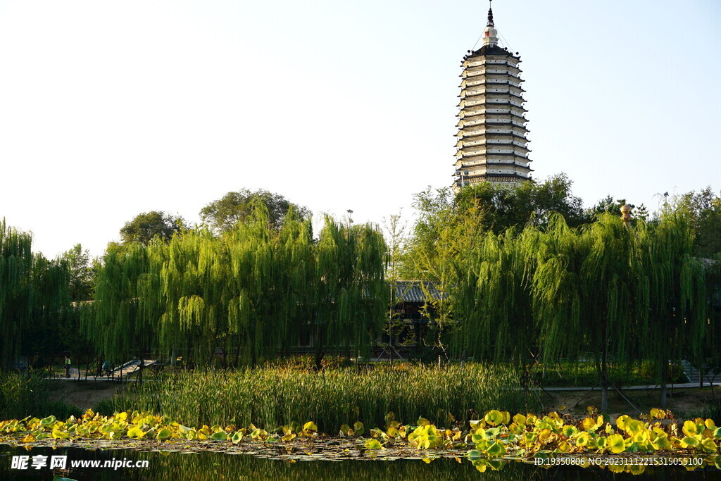 沈阳塔湾舍利塔景色