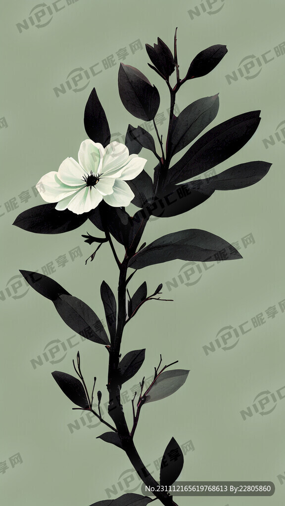 小清新 浅绿色 右下角黑色花枝