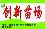 创新苗场