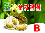 泰国金枕榴莲