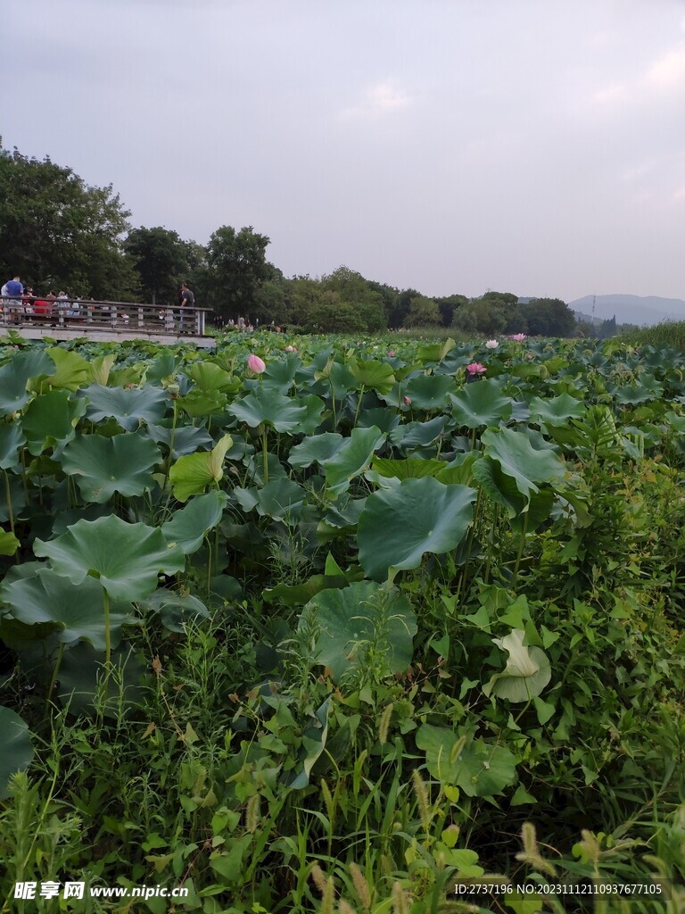 管社山庄