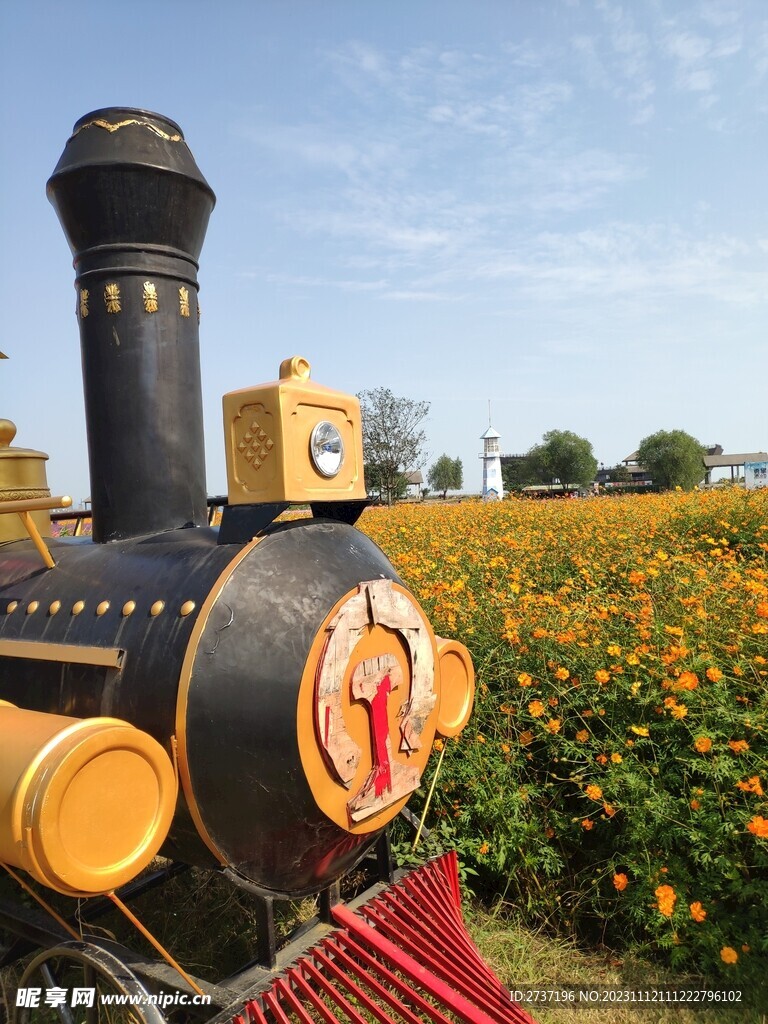 太湖花海