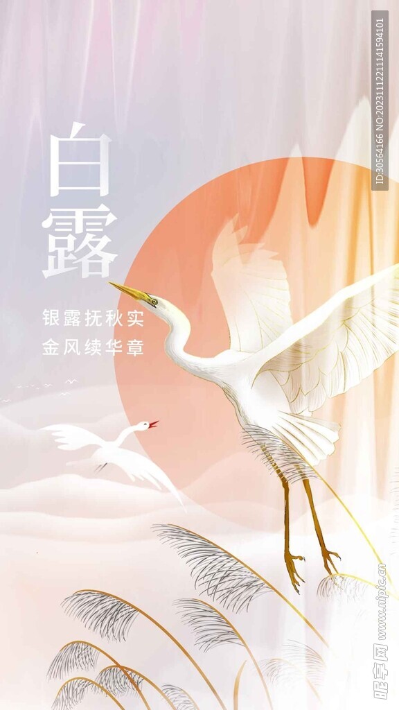 白露