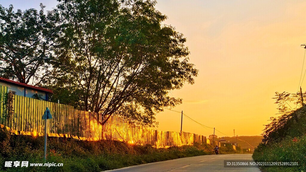 南康镇农场夕阳中的下坡路