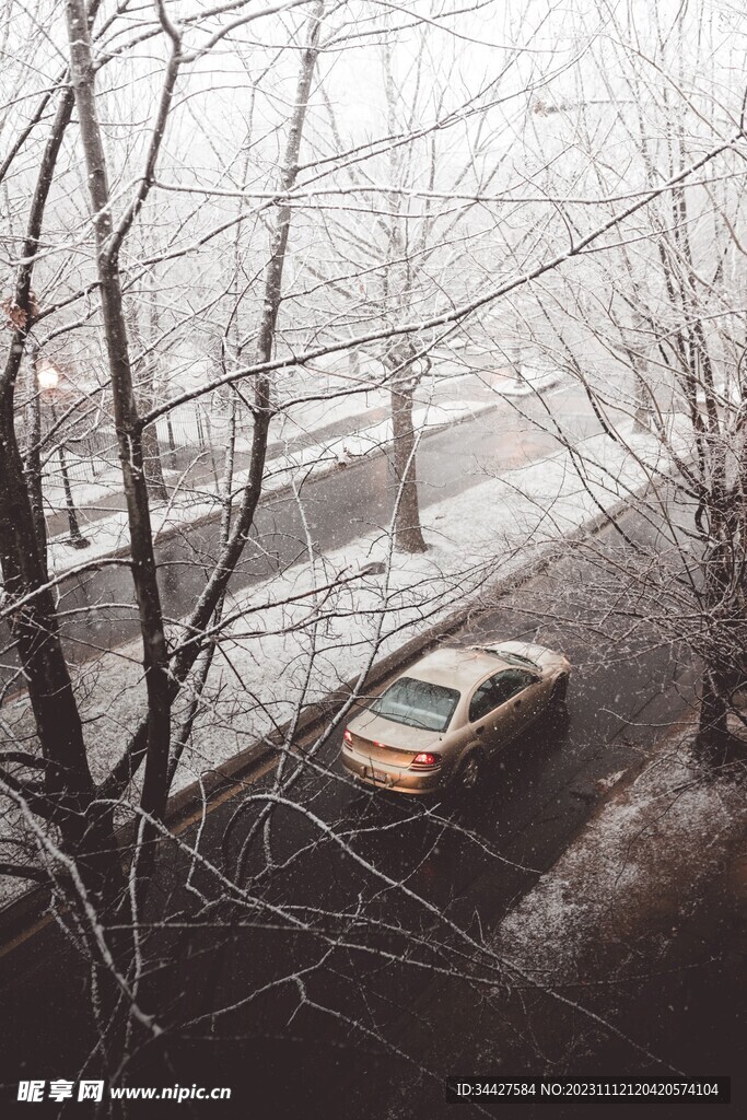 雪天道路上的汽车