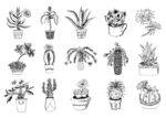 线描多肉植物仙人掌元素