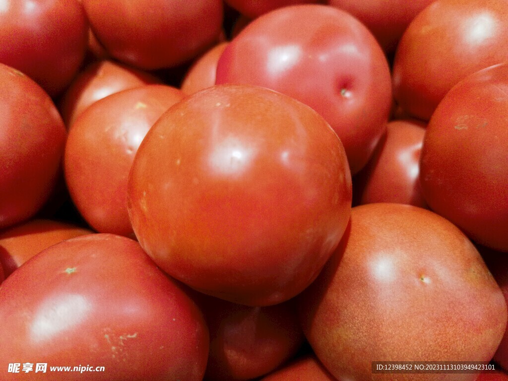 西红柿