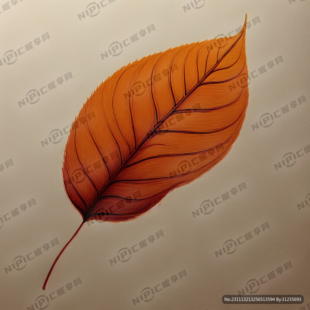 叶子 简笔画