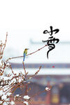 小雪海报