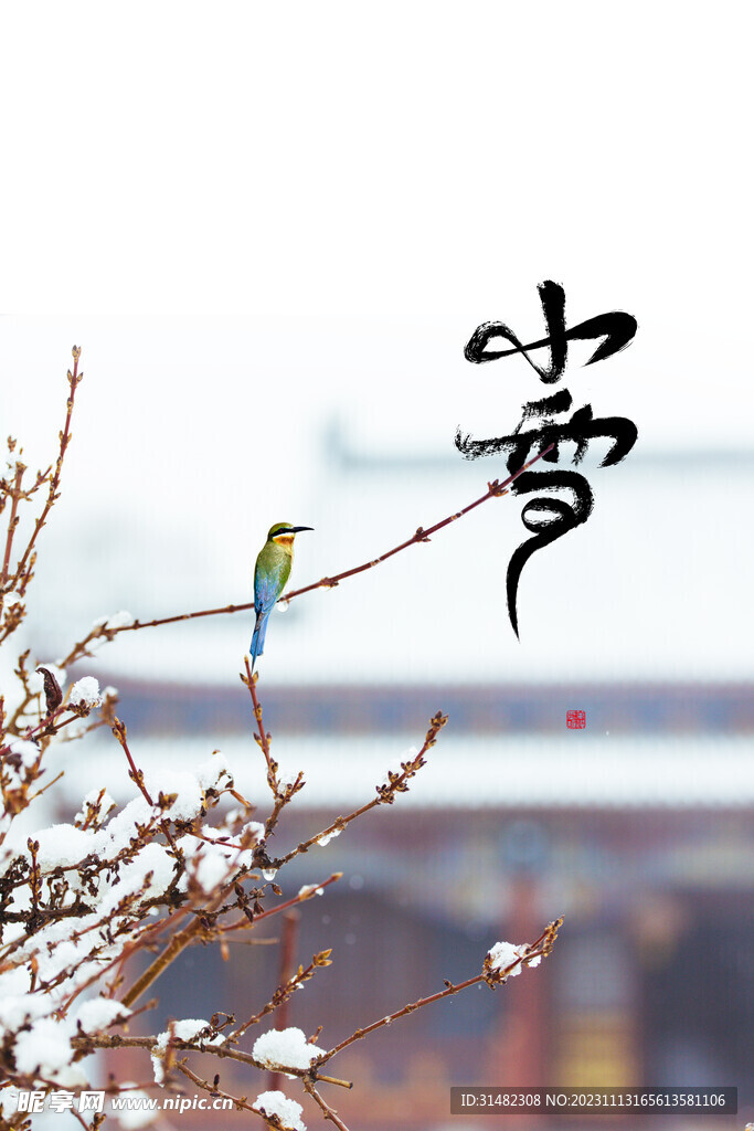 小雪海报