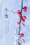 小雪海报