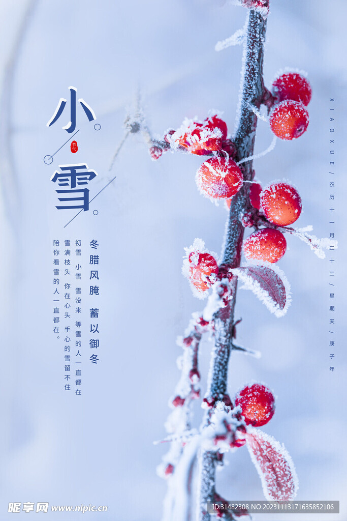 小雪海报