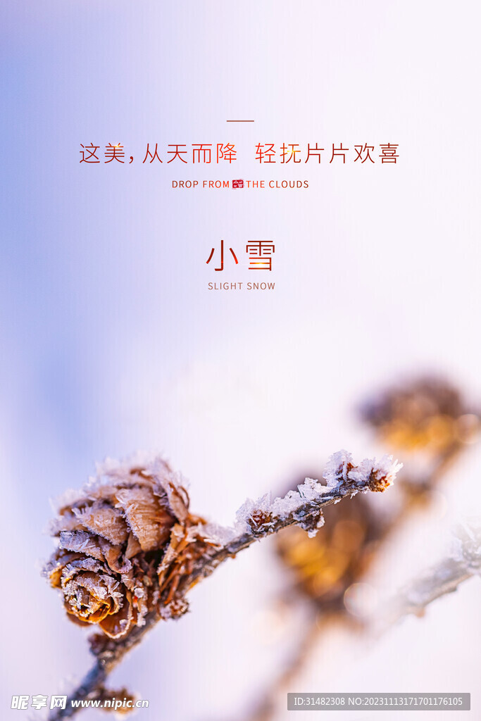 小雪海报