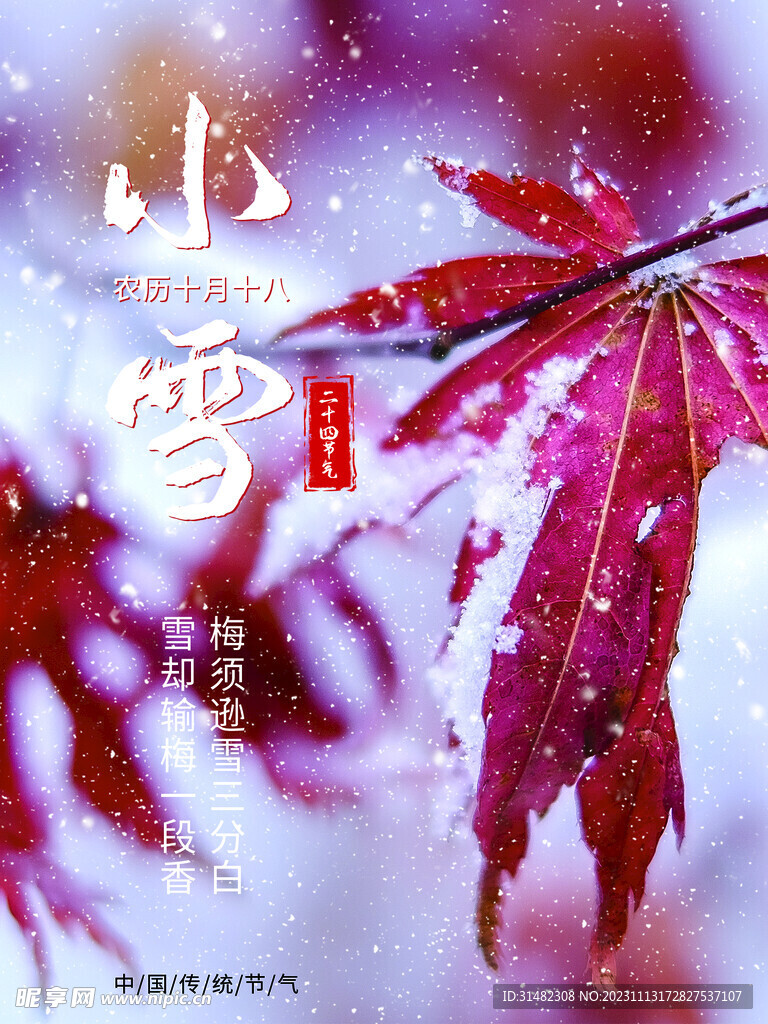小雪海报
