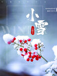 小雪海报 