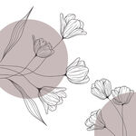 线条 花卉 