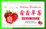 草莓卡片宣传广告